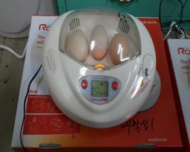 사진10
