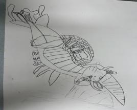 사진6