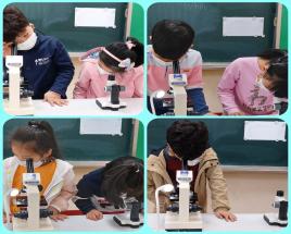 사진7