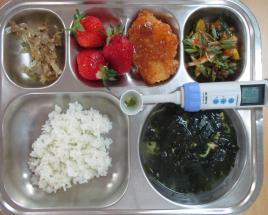 사진1