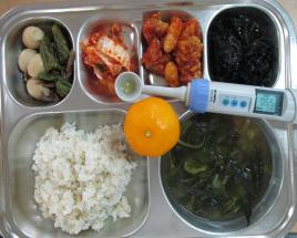 사진8